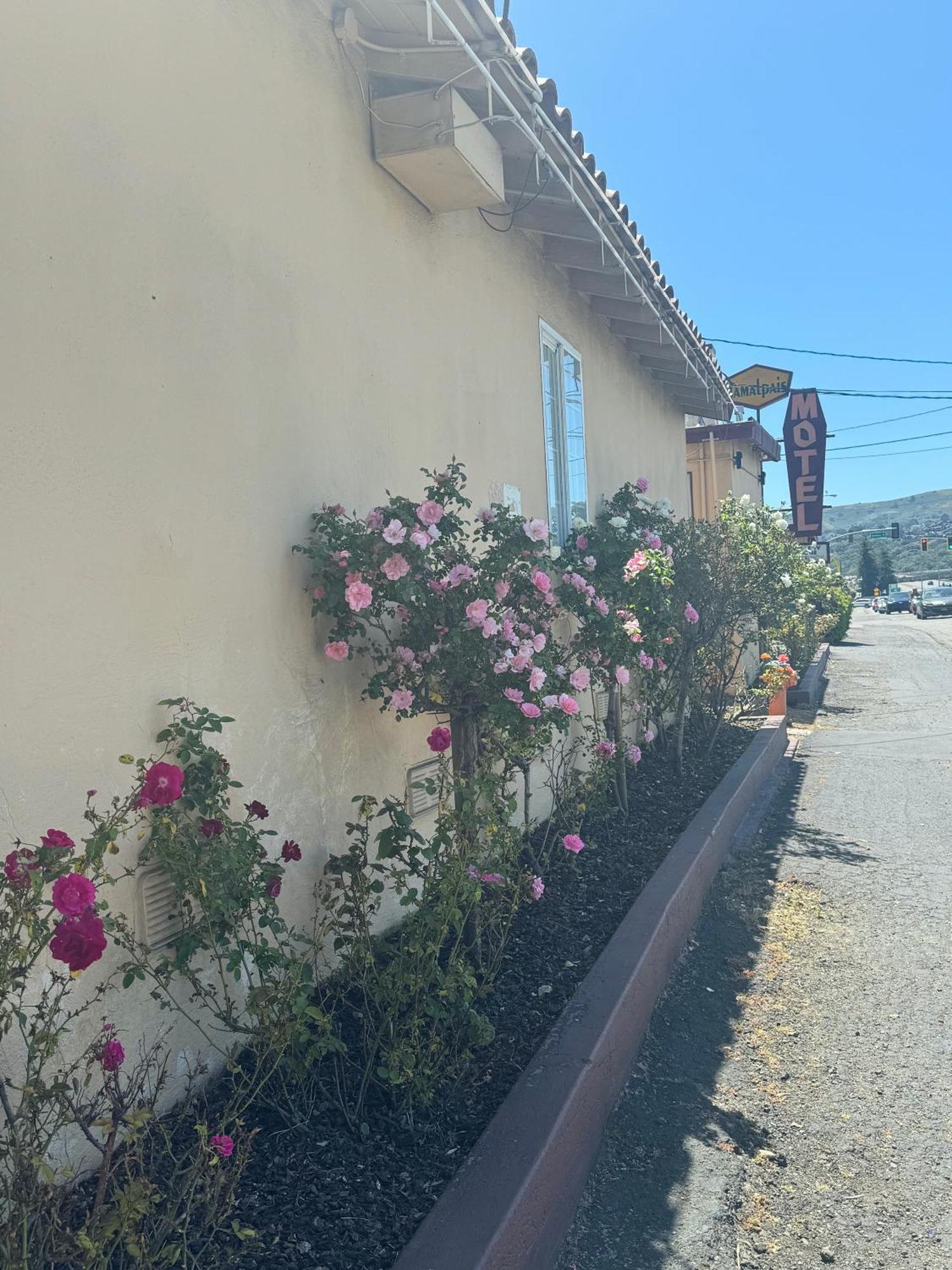 Tamalpais Motel Mill Valley Eksteriør billede
